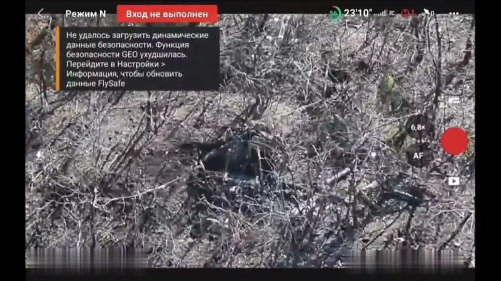 ������ �������: ������������ 37 ��������� �������������� ������� ����������� "������" �� �� �� ������� �������� ������� ���������� �� ����-�������� �����������