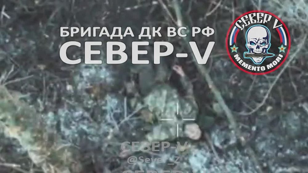 ���������� � ����� ������� "�����-V" ���������� ������ ��� � ������ ������ ���