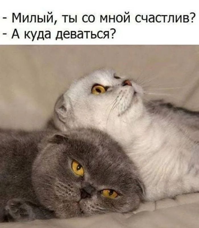 ������� �����.