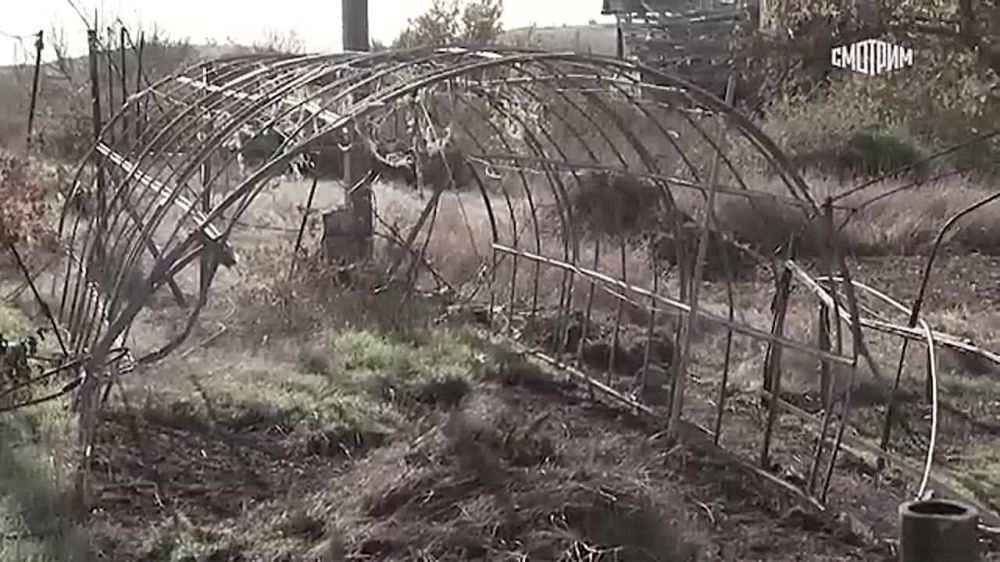 � ��� ������ ����� ���� �������������� ���� ��������
