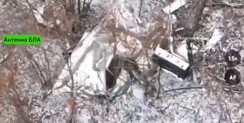 ������� ���������: ��������� �����������. ��� ������ �������� � ������ ������ �������� ���������� ���� � ��������. ����� � ������������ ��������� ����� ����� �������� ����� 2 ��. ���. "�����" ����������� �����. ����� �����...