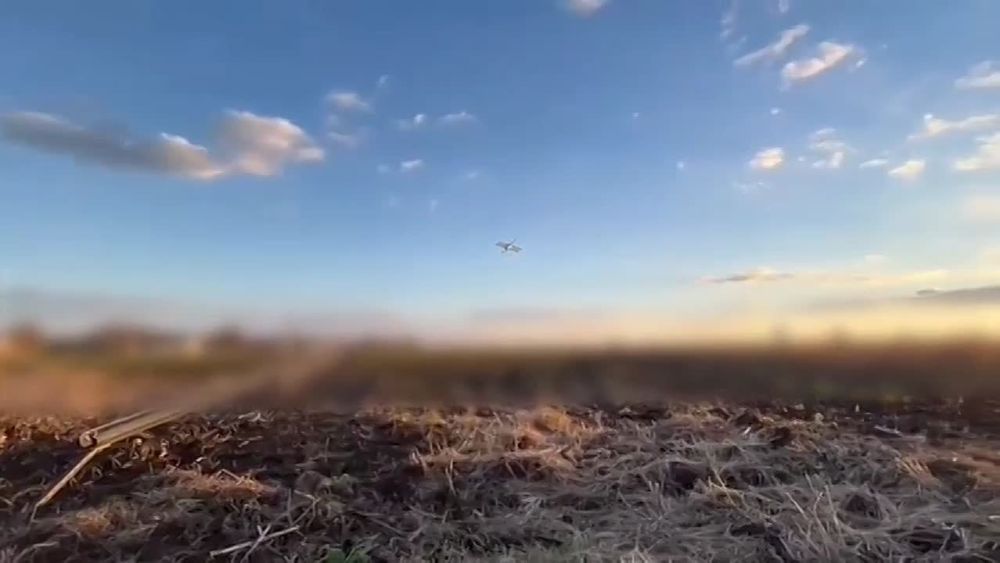 ������� ���������: ��������� �������� ��������� � ������� � �������� ������� ���� ���������� �� ����� � ����� ���������� �������� ������� ������� ���������� ������������ �� ����-�������� �����������