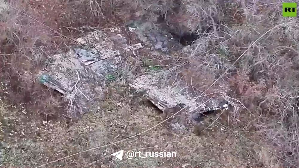 ������ �� ��������� ������ ���: ����� �����-31� (���) �������� ������ ����������� � ��������� �� ���� �� ������