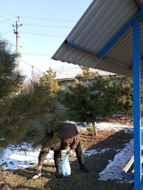 ����� �����: ��������� ������������ ����� ����������� �������������� ������ ��������� ���������� ���������������� ���������� � ����� �������� ���������� ����� ��� ������� ������