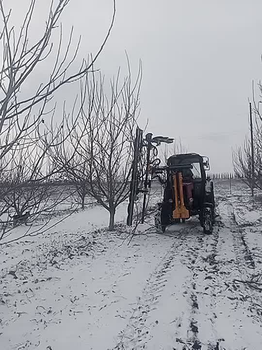 Ореховый джекпот. В Донбассе проводят обрезку единственного орехово-миндального сада