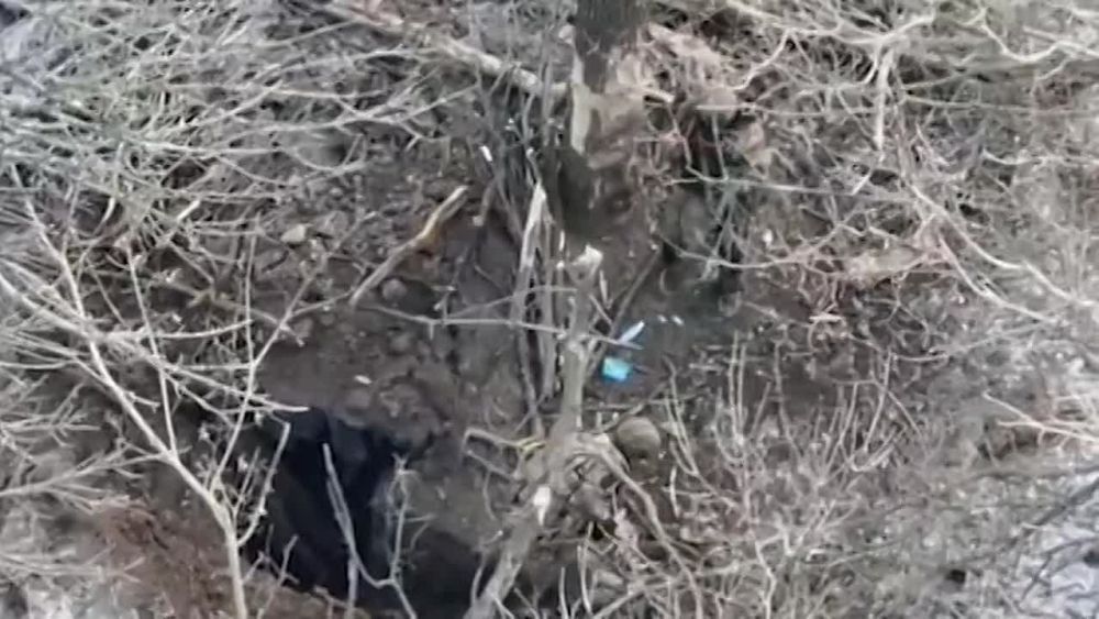 ������� ���������: ������������ ���������� � ��� ������ ����� ���� ����