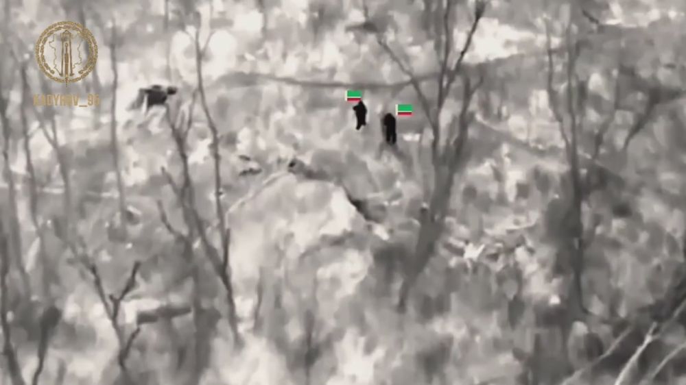 ������ �������: ����������� ������ ������ ���