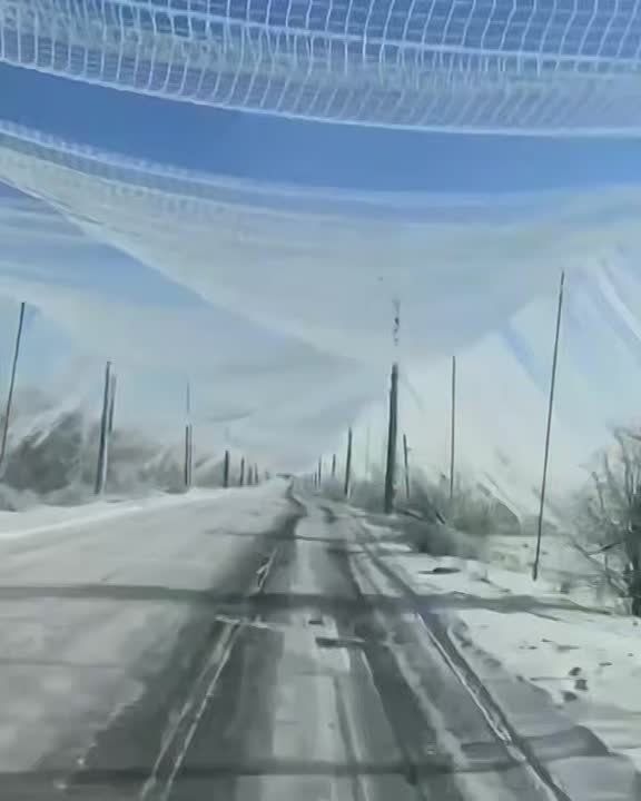 ���� ��������: ����� �������. ������� ������ � ���� ����������. �������� ������ �������, ����� ������������ �������, ������� �������� �� ������