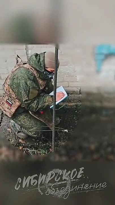 �����-ѻ � ������ ���������