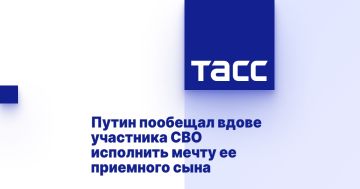 Путин пообещал вдове участника СВО исполнить мечту ее приемного сына