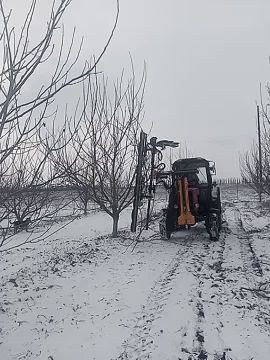 Орехово-миндальный сад готовится к новому сезону