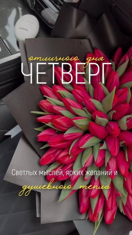 ������ ����!. �������� ����������,������� ����������! ����������� ���� �������������