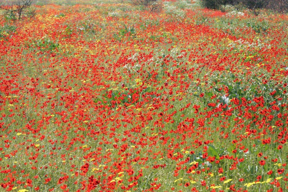 ����� �����: �������: ������� ������� � ������ ���������!