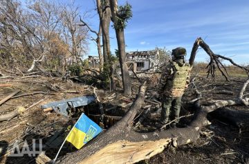 Не ради нашей Победы: почему Трамп приостановил помощь Украине и поможет ли это нам