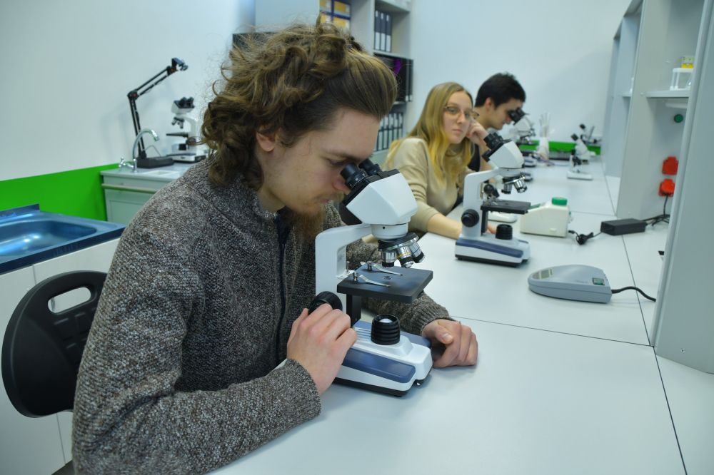 5 ����� �� ������� ����� ������ ���������������