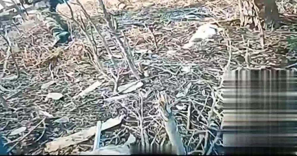 ������ �������: ������ ������ ����������� ����������� "������" �� �� �� ������� �� ����������� ������ � ������� ���������� �� ����-�������� �����������