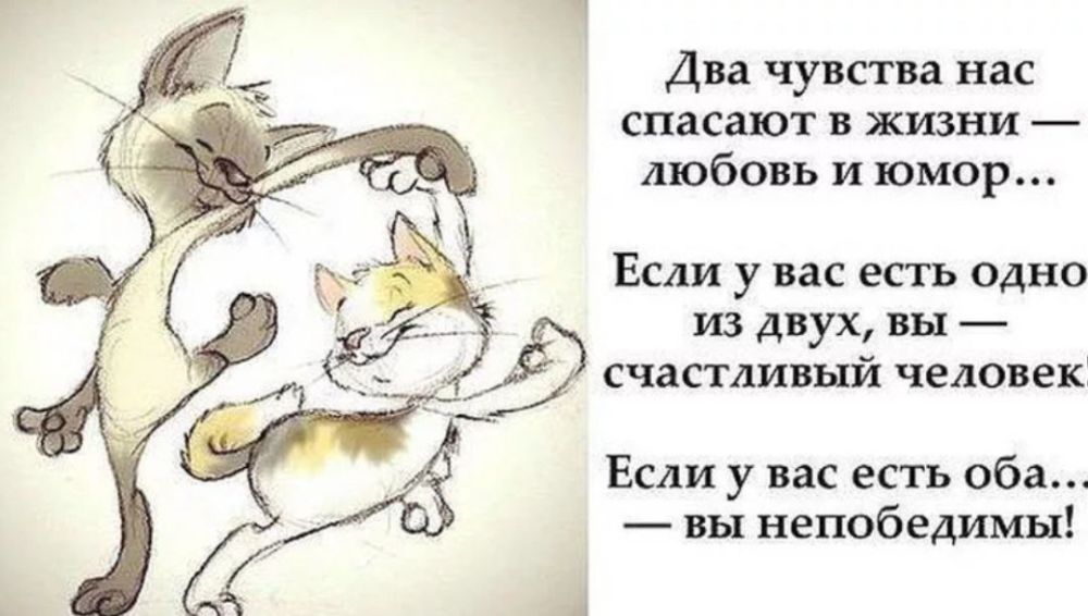������ �����