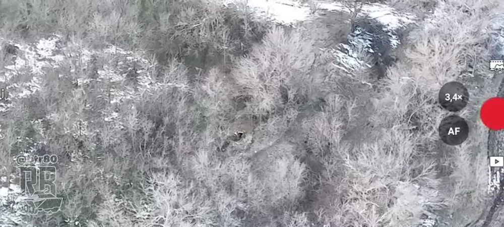 ������� ����� ����������� "�����" ���������� �������� ��������� 32 ���� ���