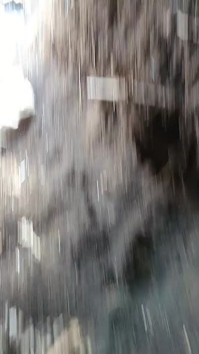 ������ �������: ����-�������� �����������. ������� ���������� ������������ ����� ���������� �������� ������ ������ ���������� ����������� "������" �� �� �� ����������� ����������� ������ �������� ������