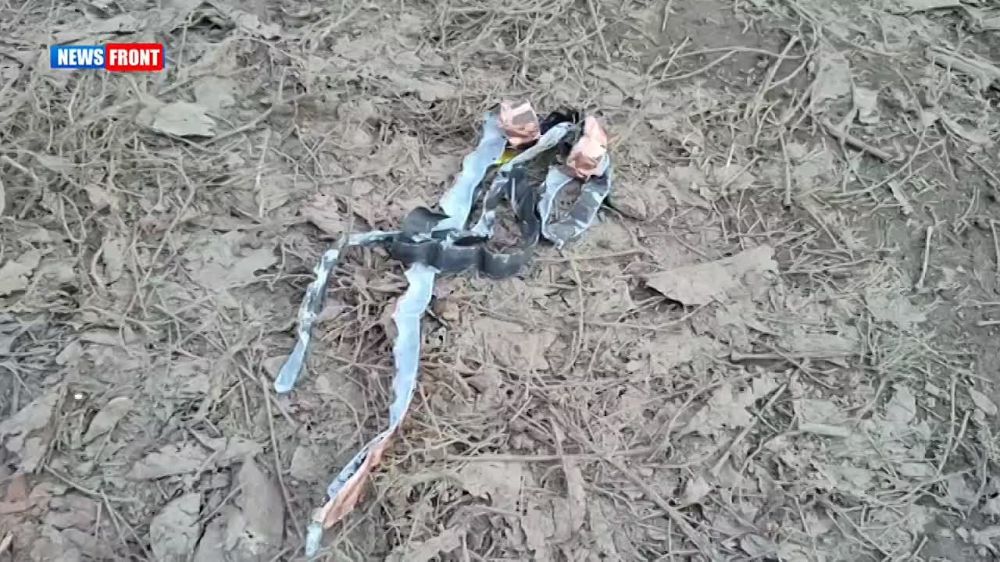 ������� ��������: ��������� ������������ ���������� ��������� ���������������� ��������