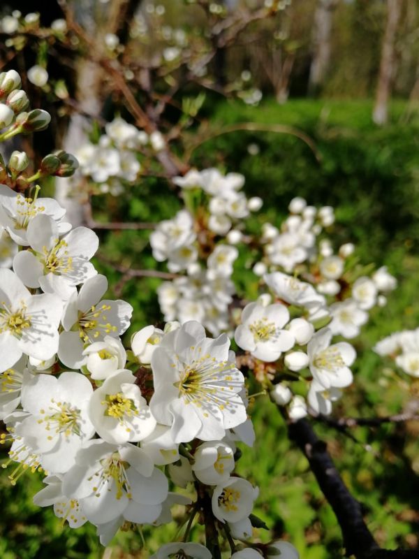 ��������� ��������: ���������� ���������� �, ����������, ������ �������� ������������, � ���������� 8 �����!