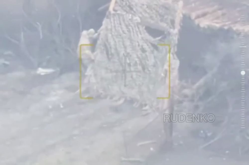 ������ �������: ����� ������ ������ ��������� ������������� 114-� �������������� ������� ����������� ����� ������ � ���� ������������ ����������� ������ ��������� ���