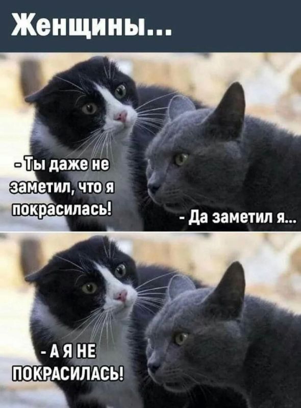 ������� �����.