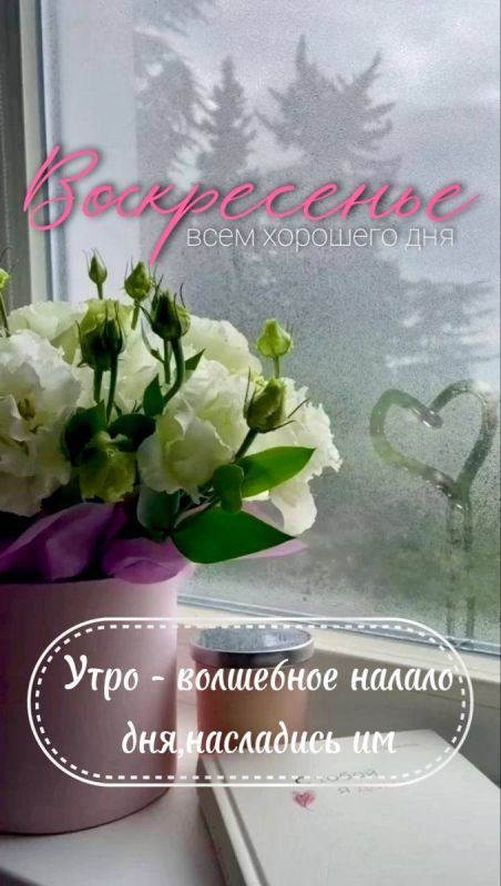 ����������� ���� �������������