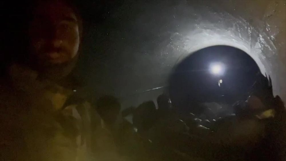 ������ �������: ���� ������, ��� � ������� ������� ���� ������� ����� � ����� ����� �����, ������ � ��� ���������� �����.