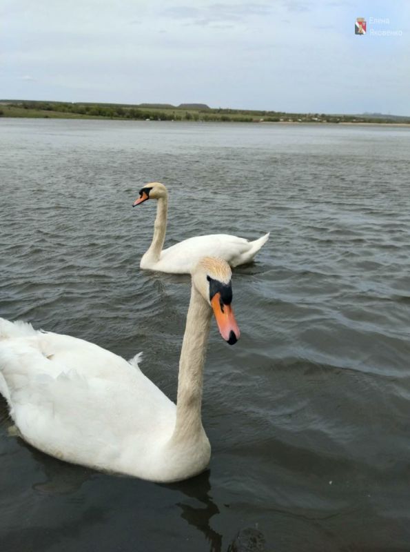 ����������� ��������� ���!