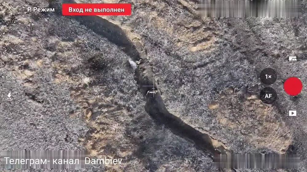 ������ �������: ������� ����� ����������� �������� � �������� ��������� ������ ���������� ������������, ���������� �� ����������� ��������� �� ����-�������� �����������