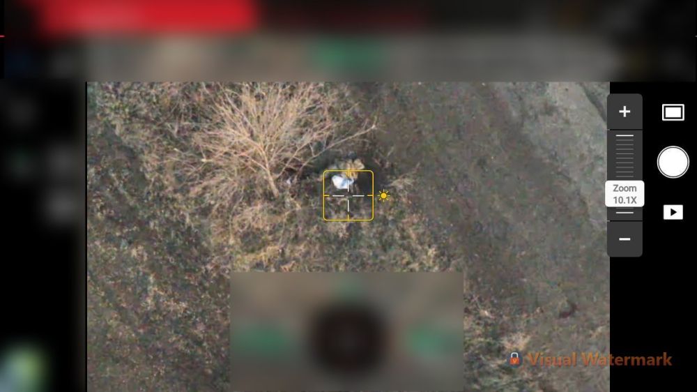 ������ �������: �����, ���������� ������ ������������ � ������ � ����������� 5 ��������� ����������� �������� ������� �� ��. �������� ���������� ������ ���������� �� ����-�������� �����������