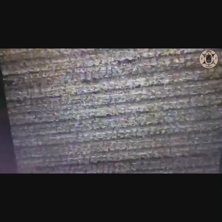 �������, 10 �����, ������ �������� ���� FPV-�����