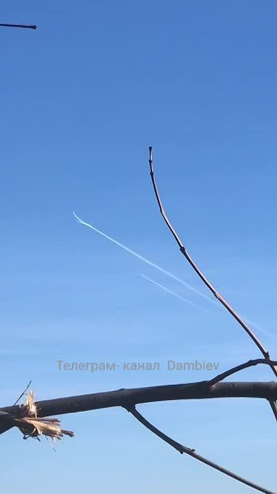 ������ �������: ������� ���������� ������������ ��������� �� ������ ������� ��������� ��� ������ �� "���������" ����� "����������" �� ����-�������� �����������