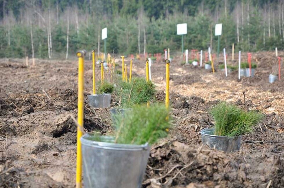 ������� 650 �������� ���� ������� � ��� �� 2026 ����