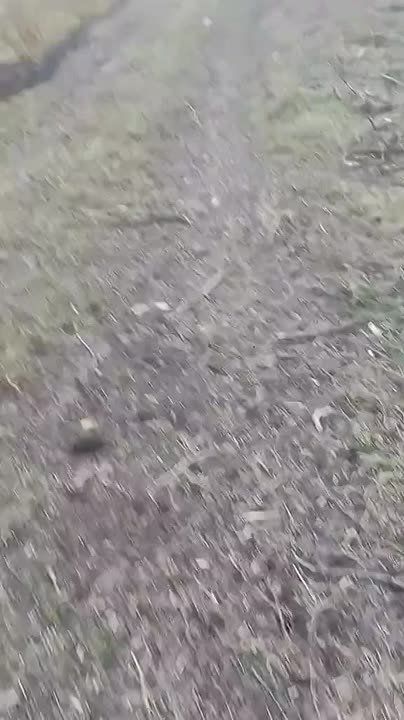 ������ �������: �������� ���� � ������� ���������� 155-�� ����������� ������� M777 ������������� ������������ ����� ������� �� ����-�������� ����������