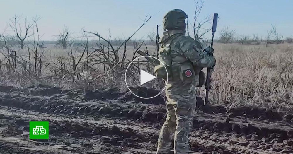 ������ � ������� ���: ���������� ����� ������� ���������� ���