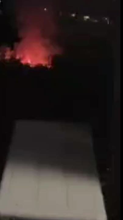 ���� ����: ���������� ��� � ������ ����������/����������� 77 ���������� ����: 30 � ��� ��������, 25 � ��� ���������, �� ����� � ��� ������� � �����������, �� ���� � ��� ���������� � ������������ ���