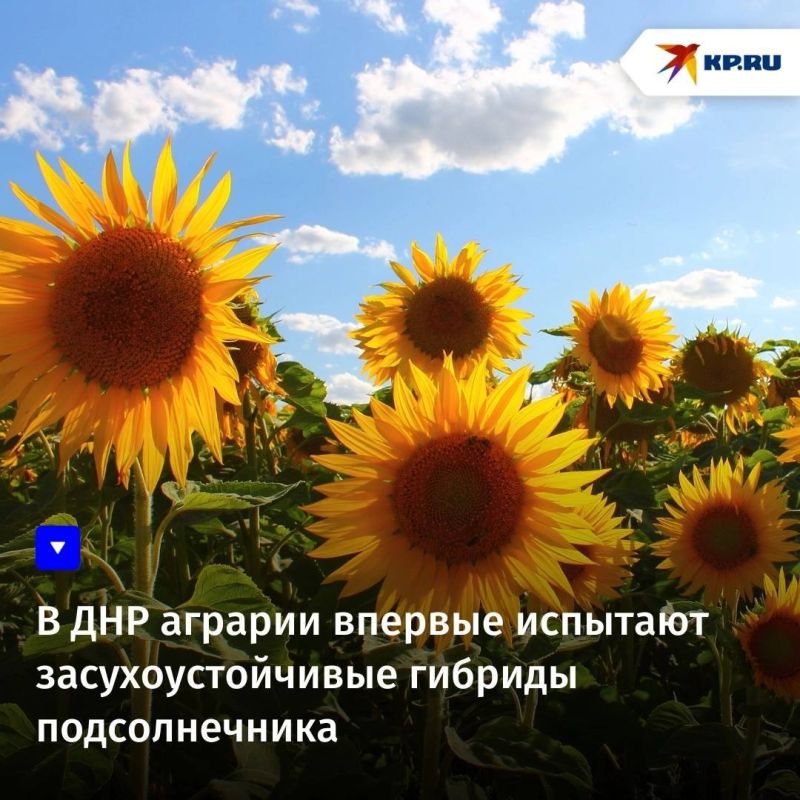 � ��� ����������� �������, �� ������� ���������� ��������� ����� � ������� �������, ����� ������� �� ����������������� � ������� �������� � ������������� ��������, � ����� ���������� ��������� ������