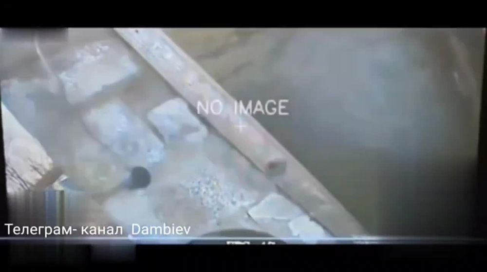 ������ �������: ��������� 37 ��������� ����������� �������������� ������� ����������� "������" �� �� �� ������� ���������� ������ ���������� �� ����-�������� �����������