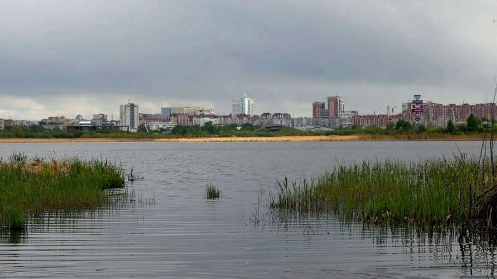 ����� 815 ��������� ������ �������� ������������� � ������� �� ������������ ������� �� ���������� �������������� ������������ � 2025 ����