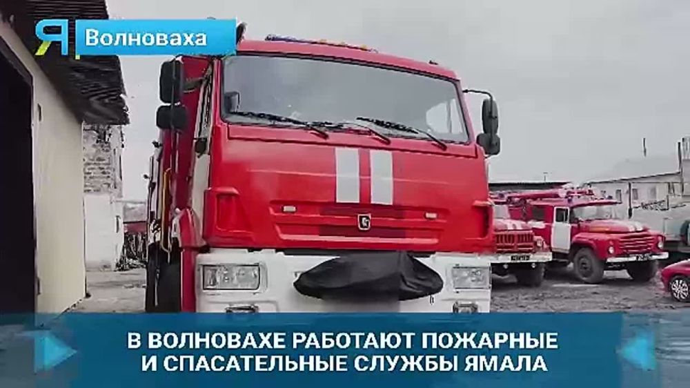 ���� � �������. ���������� ������ ����� �������� � ���������