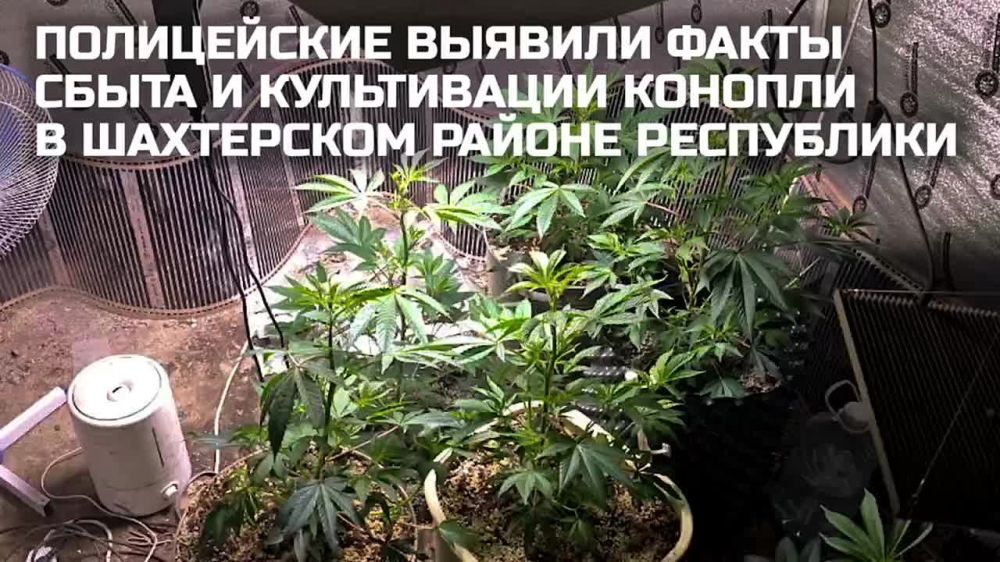 12345����������� ������� ����� ����� � ����������� ������� � ���������� ������ ����������
