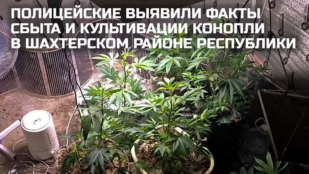 ���������� ��� �� ��� ������� ���� ����������� �������� �������, � ����� ������������ ��� ����������� � ������� ��������� � ���������� ������