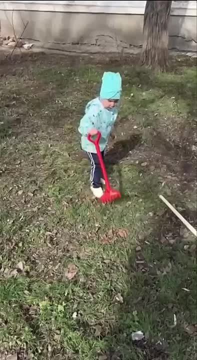 �������� ������: ����� ��������� ������ ������ ���� �������������� � ���������������� ����������