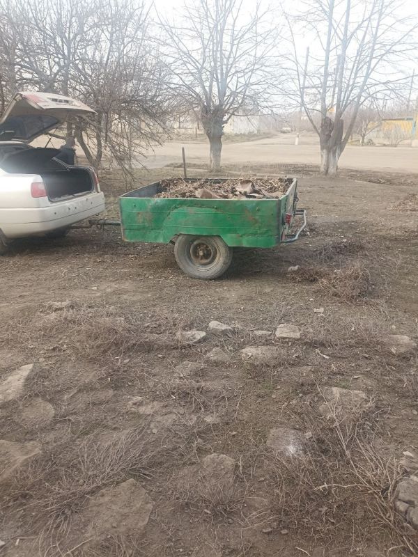 ������ ��������: �������, � ��� ��������� ������ ������ ������������������� ���������