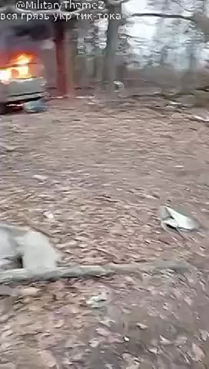 ���������� ������ ������� � ��������� ���, ������������������ ������� ����������� FPV-����� �� ��������� �����������