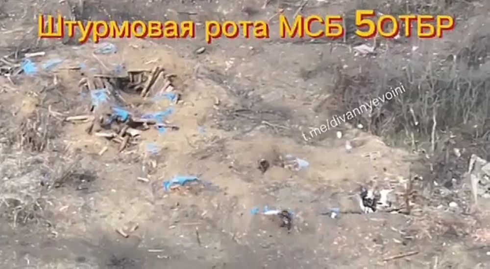 ���������� ���������� 5 ���� ��������� ������� � ����������� ��������������� � ������� ���� �� ����-�������� �����������