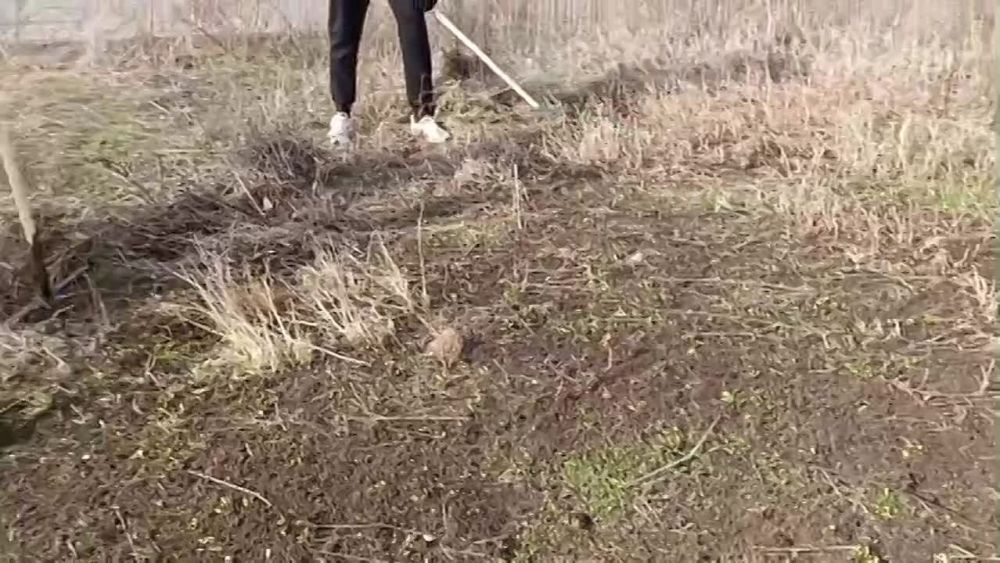 ���� ��������: . ���� ����� �� ����������! � �, ������� �� �����, ������� ����� ����������� ����� "�����", ������� ��������� � ������� ����, � � ���� ����� ������ ����� - ����� ������� ������� ������ � �������������