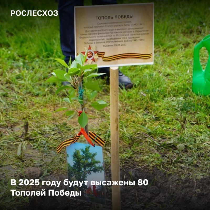 � 2025 ���� � ������ ����������� �������� ����� 27 ��� �������� � ������ ������������� ����� ���� ������